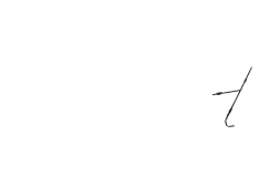 Porte sacoche avant lowrider Tara noir 15 Kg