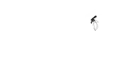 Position assise légèrement inclinée