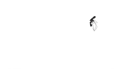 Position assise légèrement inclinée