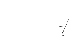 Porte sacoche avant lowrider Tara noir 15 Kg