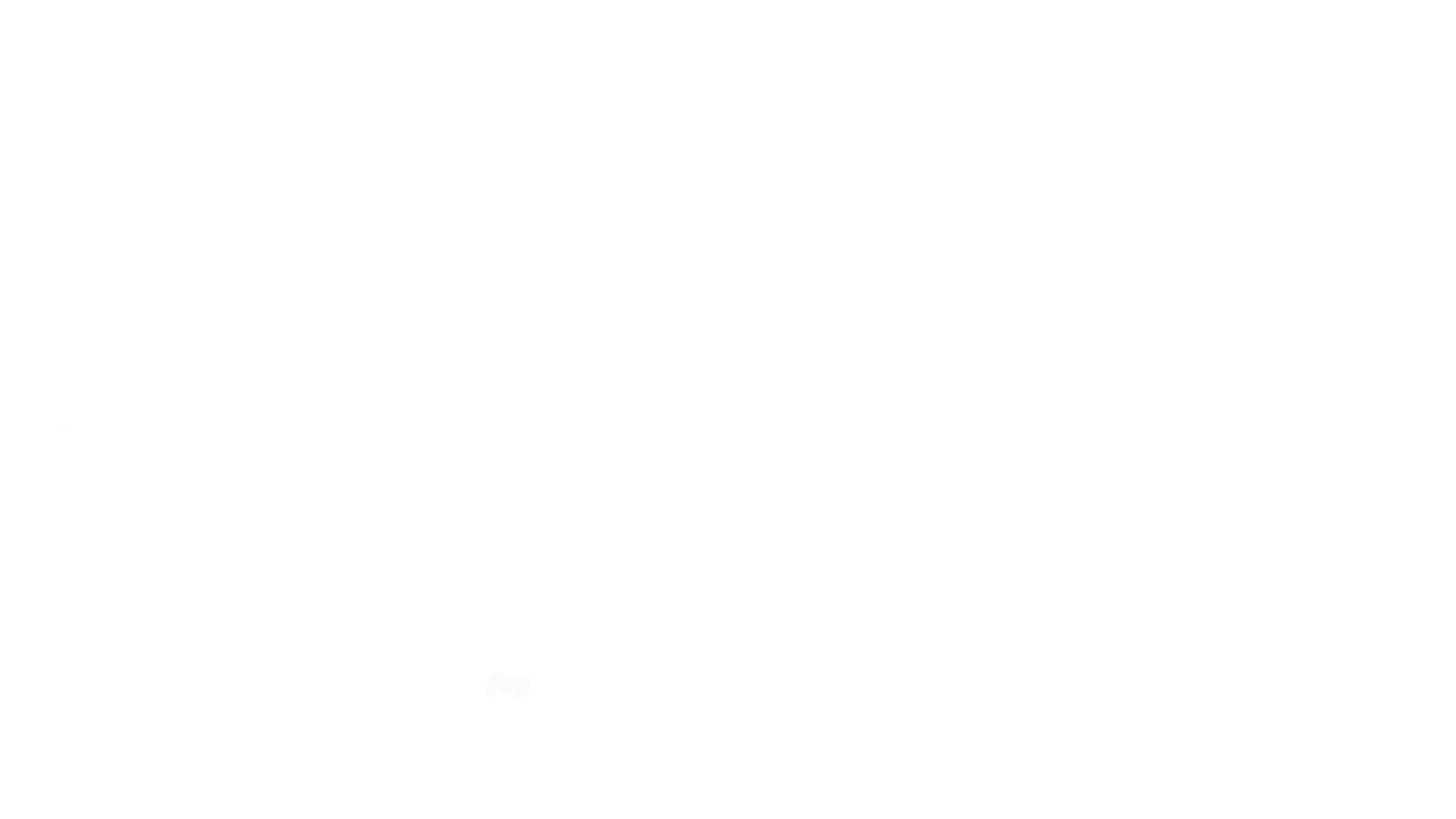 Porte-bagage noir en aluminium ( pour Classic, Epure, 1903, ..)