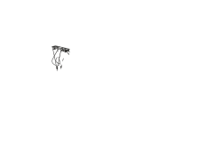 Porte bagage traveller pour triporteur Urban Rider