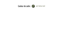 Couleurs de cadre vélos Azor