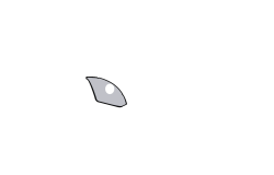 Pare-jupes transparents (de série)