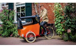 Triporteur électrique Bakfiets Confort STEPS 22 couleurs de cadre disponibles