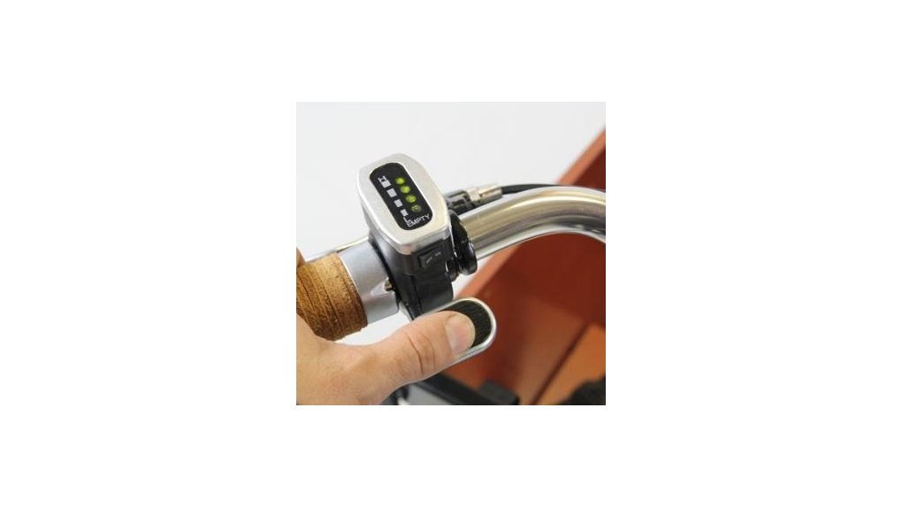 Console triporteur Smiley ou Babboe E-Big assistance Protanium