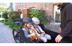 Triporteur Triobike Hafnia