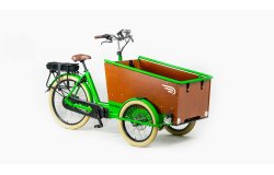 Triporteur électrique Bakfiets Confort STEPS 22 couleurs de cadre disponibles