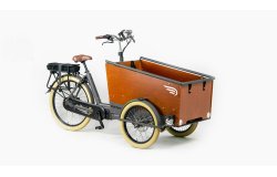 Triporteur électrique Bakfiets Confort STEPS 22 couleurs de cadre disponibles