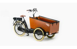 Triporteur électrique Bakfiets Confort STEPS 22 couleurs de cadre disponibles
