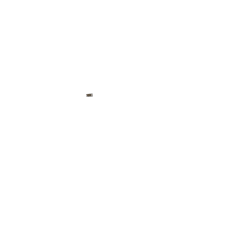 Poignées cuir Brooks noir (une longue, une courte)