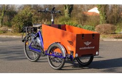 Triporteur électrique Bakfiets Confort STEPS 22 couleurs de cadre disponibles