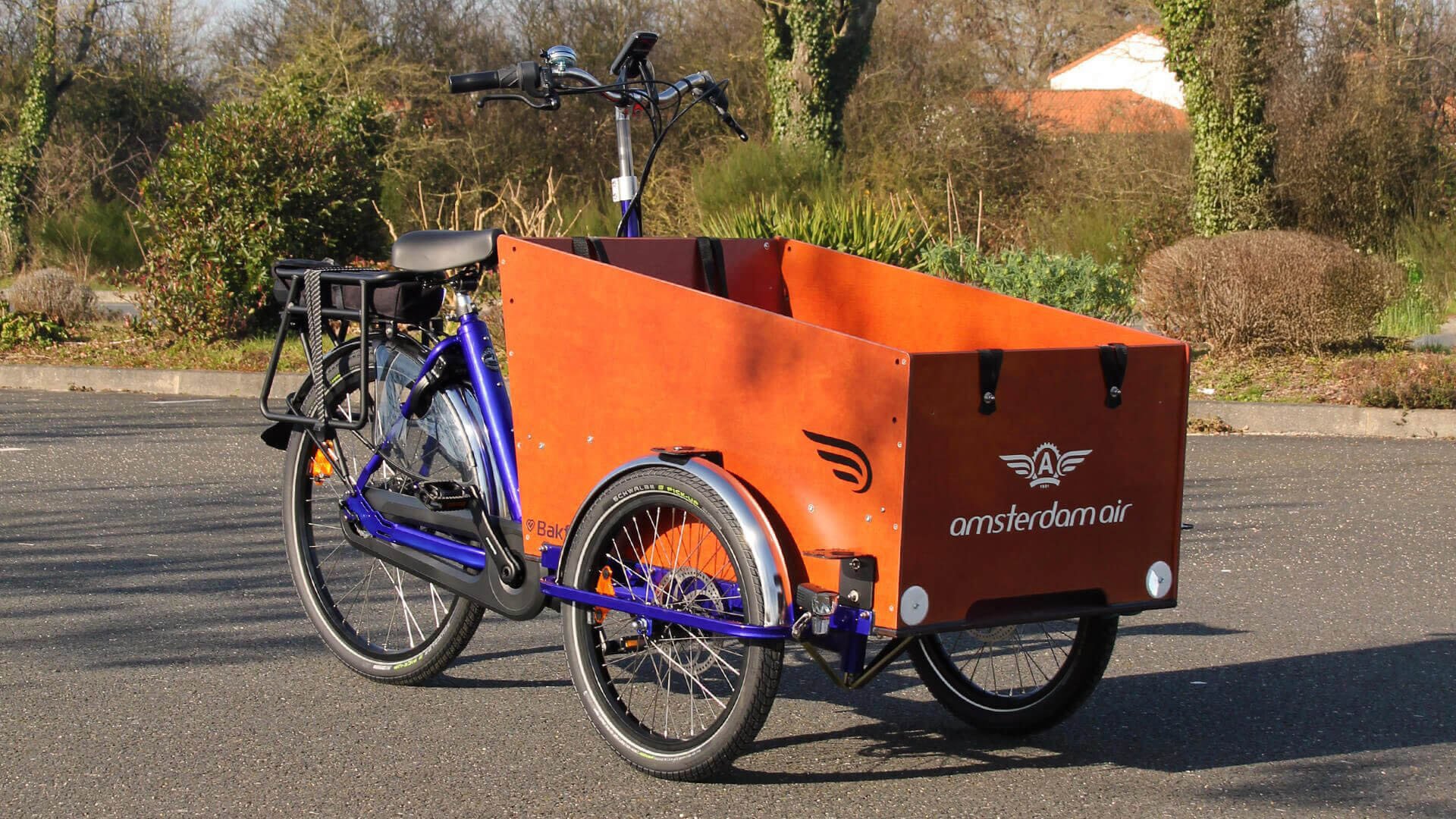 Triporteur électrique Bakfiets Confort STEPS 22 couleurs de cadre disponibles