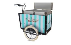 Personnalisation Coffre Triporteur Amsterdam Air eDrive