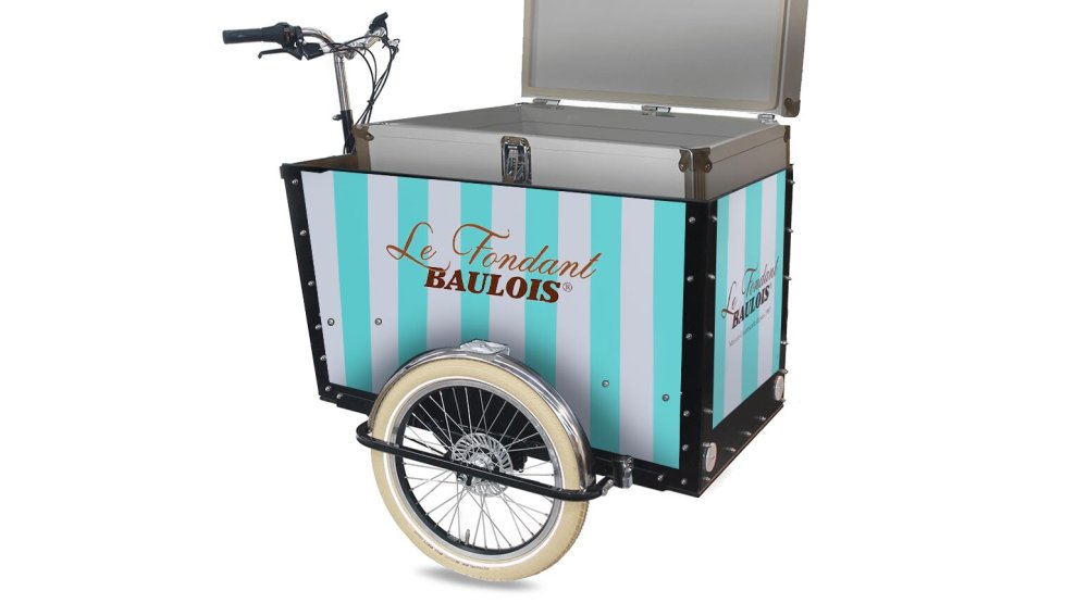 Personnalisation Coffre Triporteur Amsterdam Air eDrive