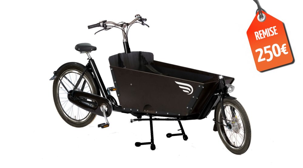 Remise immédiate de 250€ sur ce modèle !