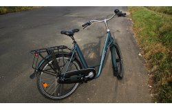 Docker Premium musculaire avec cadre vert profond