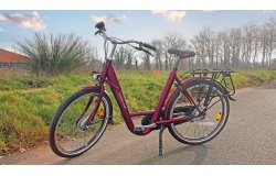 Docker Premium musculaire avec cadre violet