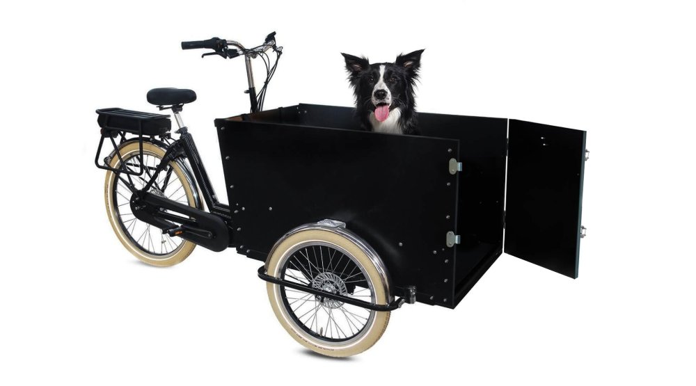 Le triporteur Amsterdam Air eDrive chien dans sa configuration de base