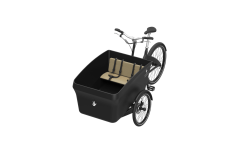 Assise deux enfants pour Triporteur Triobike