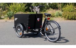 Vue de derrière du triporteur Amsterdam Air musculaire