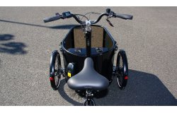 Le fronton lexan transparent permet au conducteur et aux passagers de mieux voir la route défiler devant les roues du triporteur