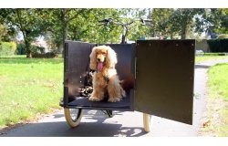 Le triporteur Amsterdam Air eDrive chien dans sa configuration de base