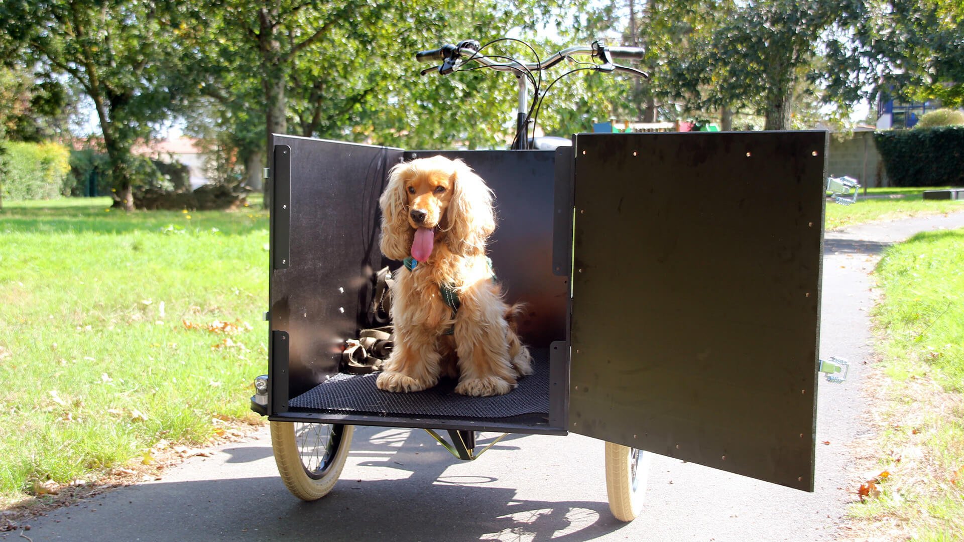 Le triporteur Amsterdam Air eDrive chien dans sa configuration de base