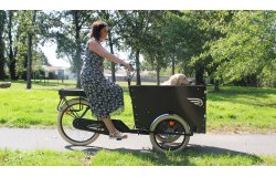 Le triporteur Amsterdam Air eDrive chien dans sa configuration de base