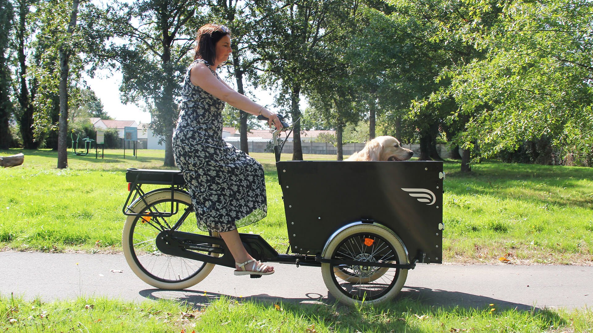 Le triporteur Amsterdam Air eDrive chien dans sa configuration de base