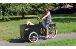 Le triporteur Amsterdam Air eDrive chien dans sa configuration de base