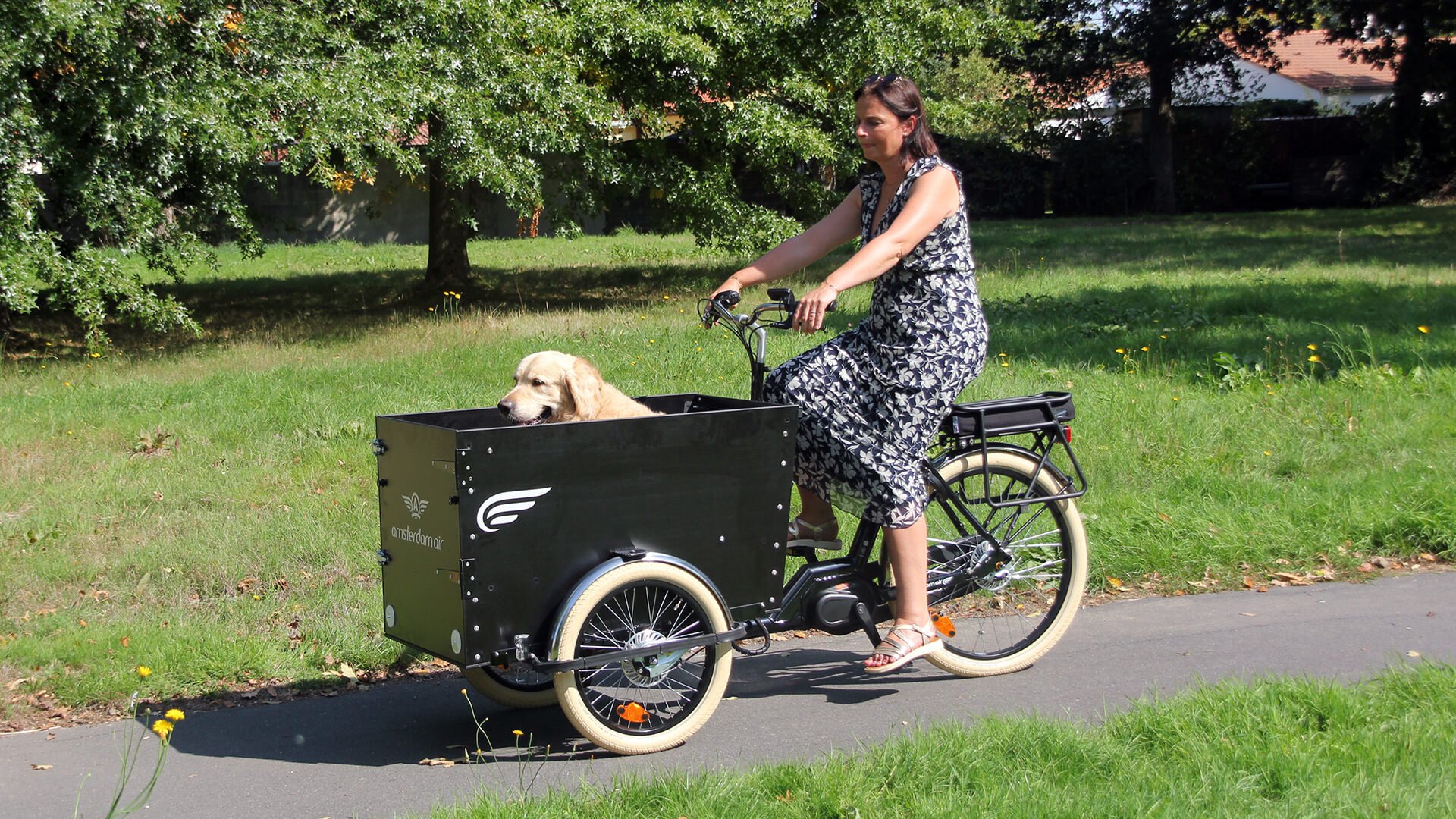 Le triporteur Amsterdam Air eDrive chien dans sa configuration de base