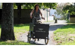 Le triporteur Amsterdam Air musculaire chien dans sa configuration de base