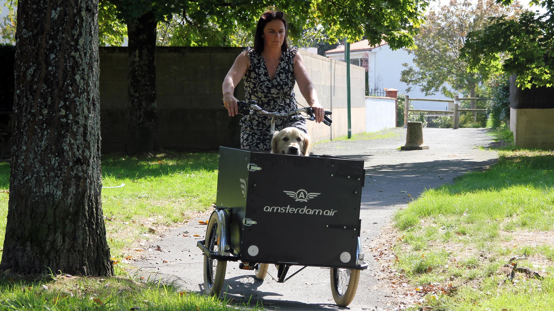 Le triporteur Amsterdam Air musculaire chien dans sa configuration de base