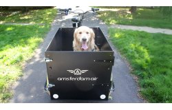 Le triporteur Amsterdam Air musculaire chien dans sa configuration de base