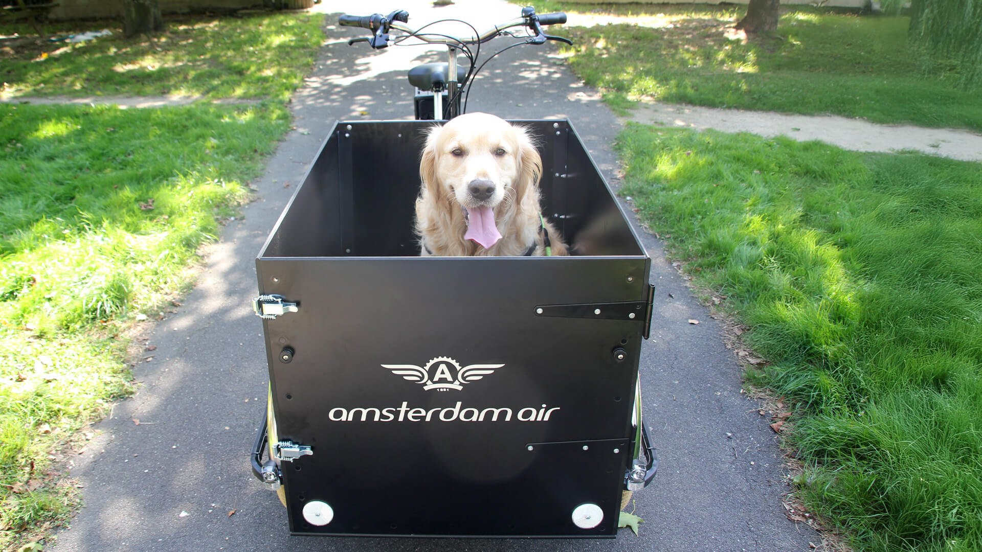 Le triporteur Amsterdam Air musculaire chien dans sa configuration de base