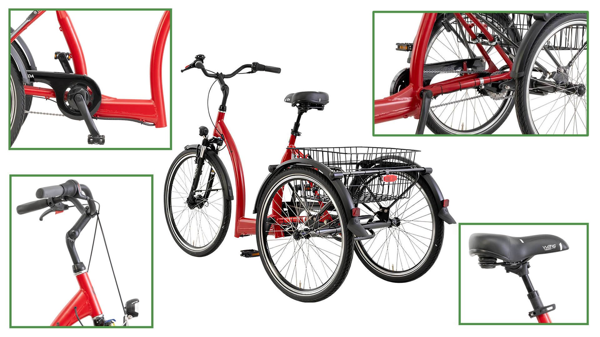 Tricycle Vida de Pfauec