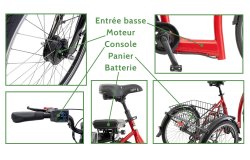 Tricycle électrique Vida FM