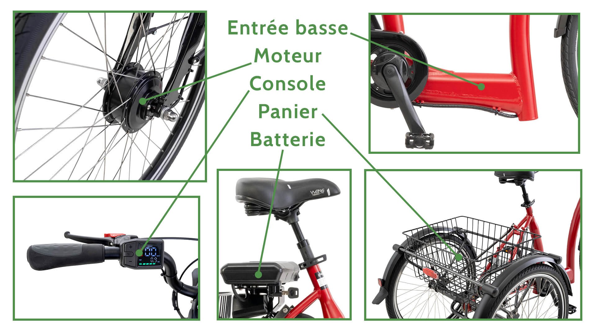 Tricycle électrique Vida FM