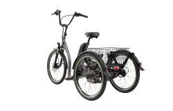 Tricycle électrique Tamo AP