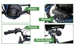 Tricycle électrique Scoobo Smart de Pfautec
