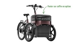 Triporteur électrique Thuja de vanRaam
