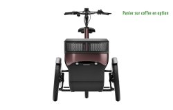 Triporteur électrique Thuja de vanRaam