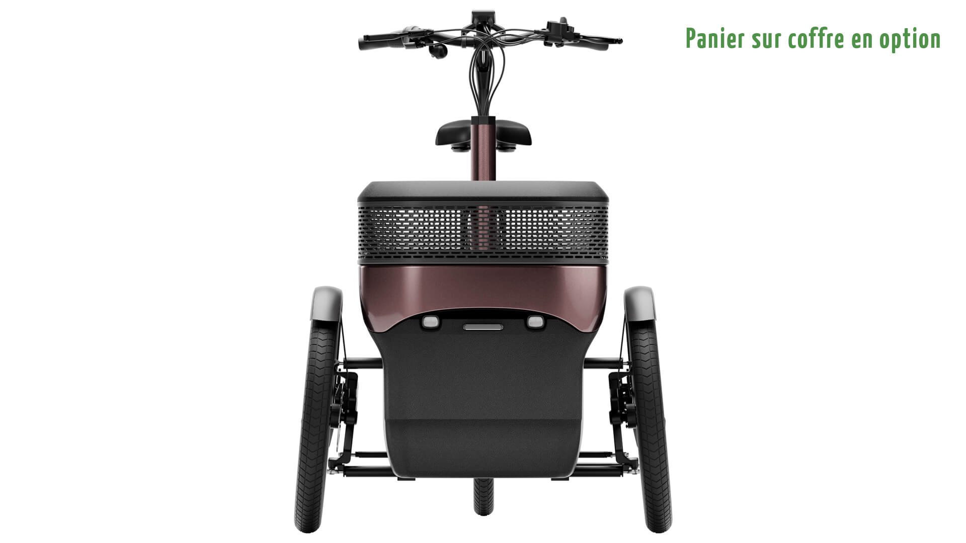 Triporteur électrique Thuja de vanRaam