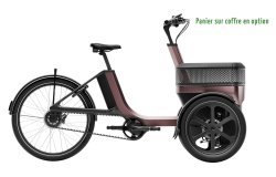 Triporteur électrique Thuja de vanRaam