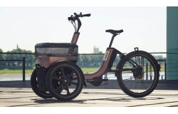 Triporteur électrique Thuja de vanRaam