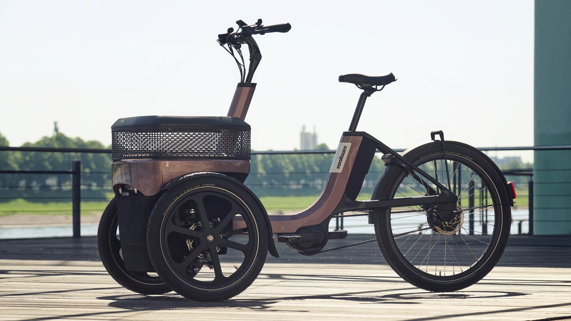 Triporteur électrique Thuja de vanRaam