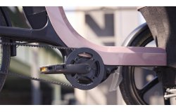 Triporteur électrique Thuja de vanRaam