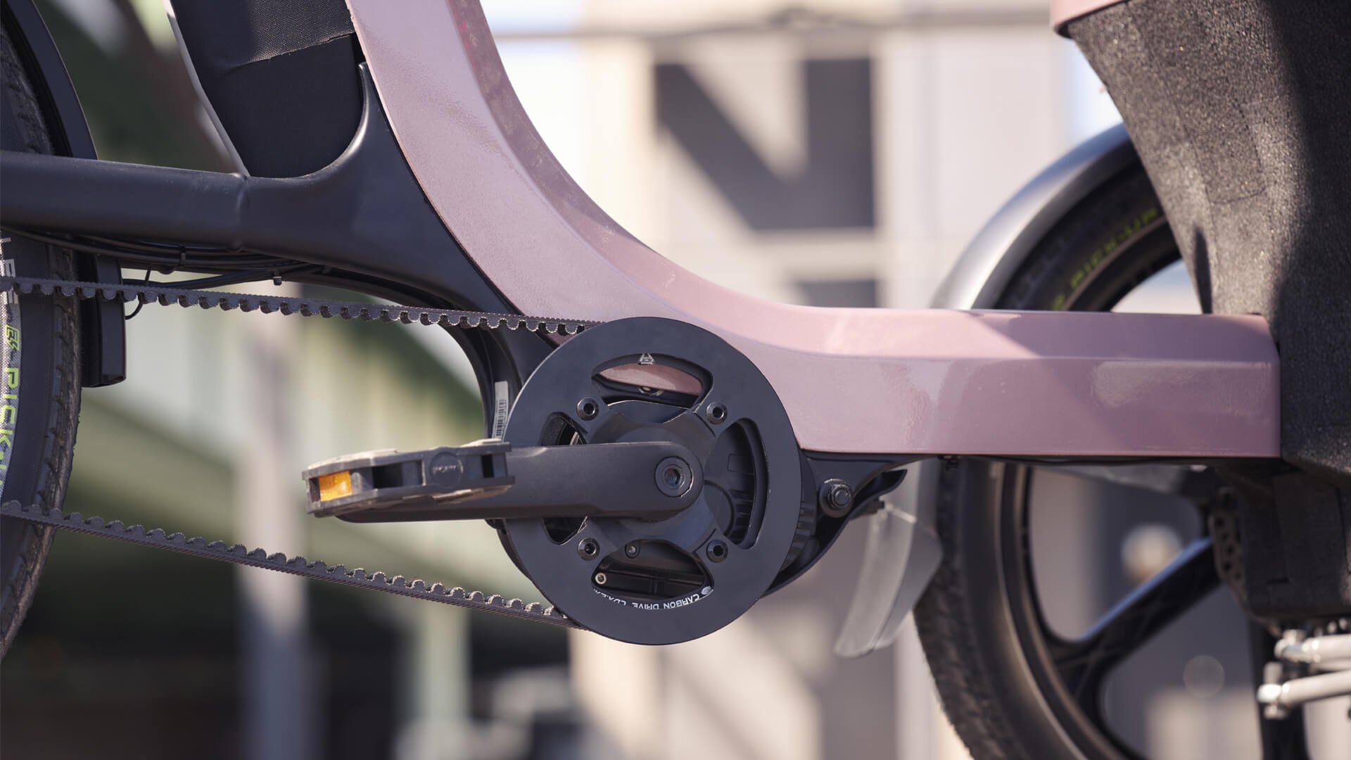 Triporteur électrique Thuja de vanRaam