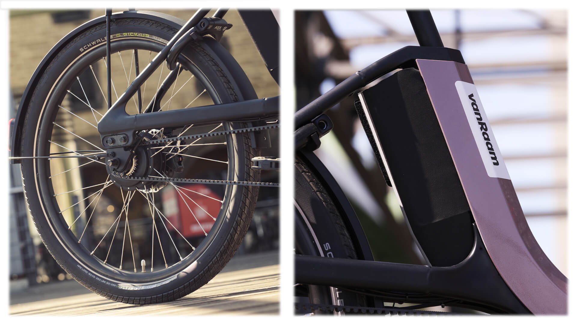 Triporteur électrique Thuja de vanRaam